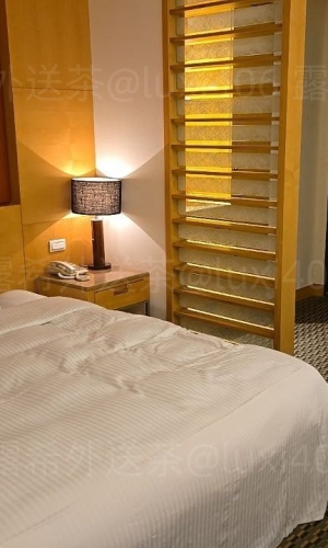 #中和    旅館：景安精品